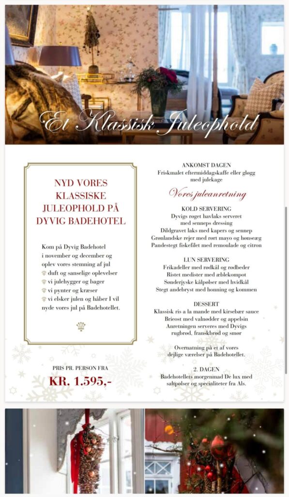 Billede – Dyvig jul 3